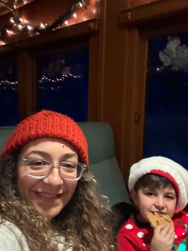 Christmas Train 2026 (91)